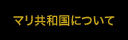 マリについて